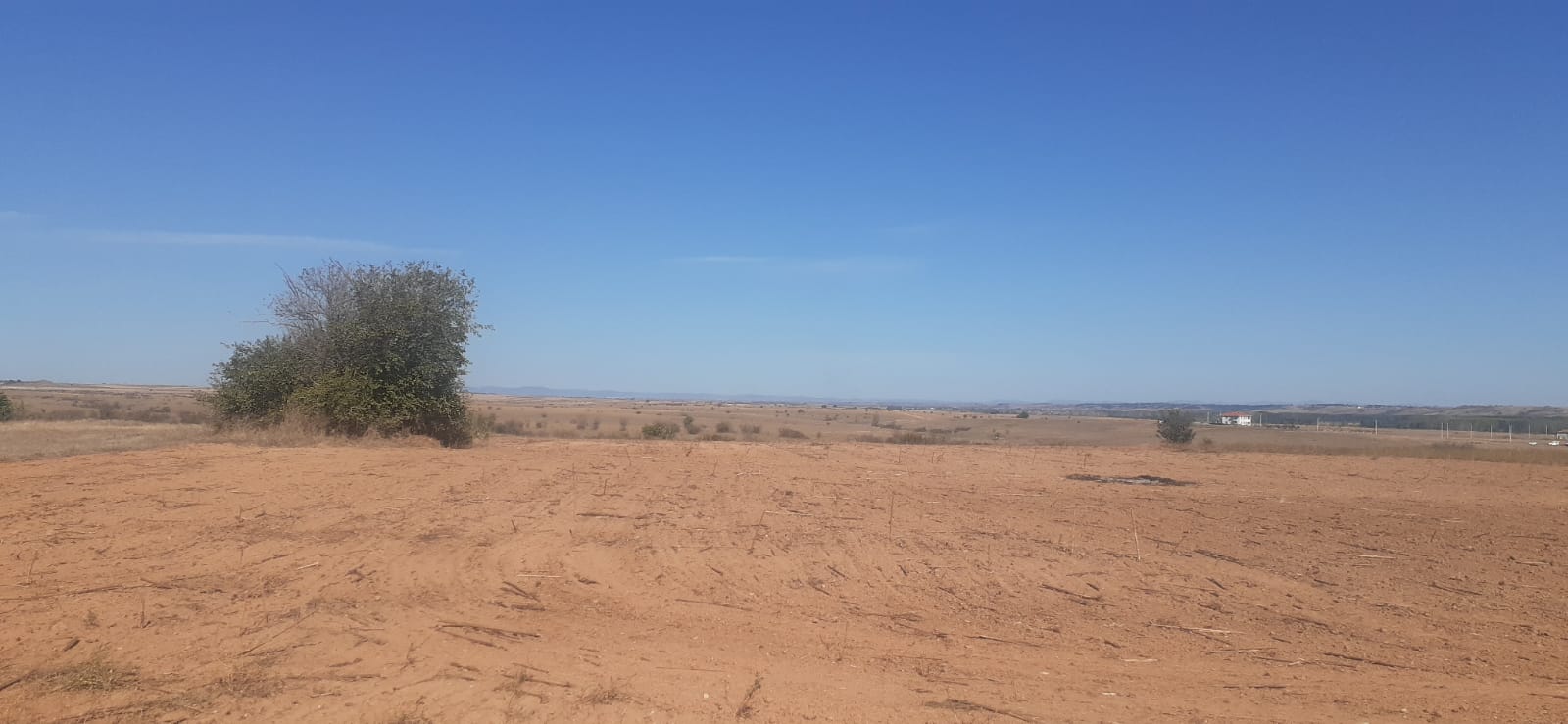 Satılık Ekilebilir Arazi, Edirne / YOLAGELDİ